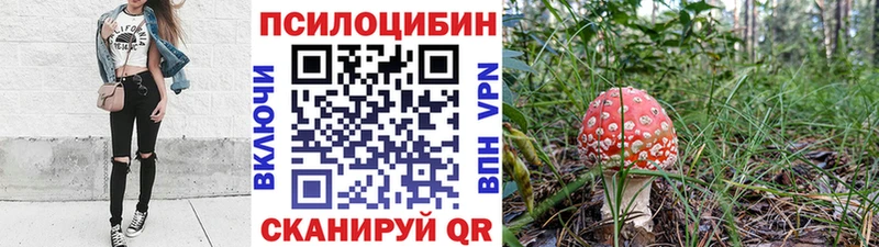 Псилоцибиновые грибы Psilocybine cubensis  Купить где  Кинель 